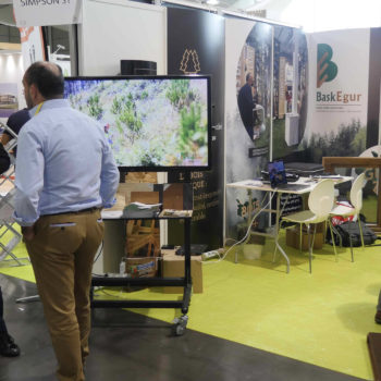 Baskegur en foros internacionales