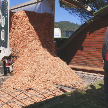 El sector Forestal-Madera de Euskadi mantiene sus actividades esenciales
