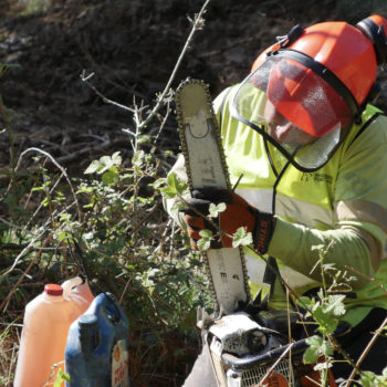 Pautas de seguridad laboral en trabajos forestales durante la pandemia del COVID-19