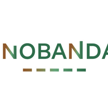 Innobandas, baso osasunaren proiektu berritzailea