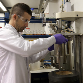 El sector forestal-madera y la UPV-EHU trabajan en un nuevo material aislante para la construción