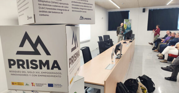 Euskadipreben jardunaldiak egurrezko basoen balio kateko lan segurtasuna aztertu du