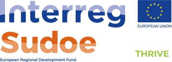 Contratación del servicio de auditoria de los gastos de Proyecto Thrive dentro del Programa INTERREG SUDOE