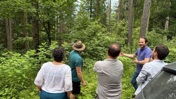 Baskegur se interesa por la cadena de valor forestal-madera de Austria